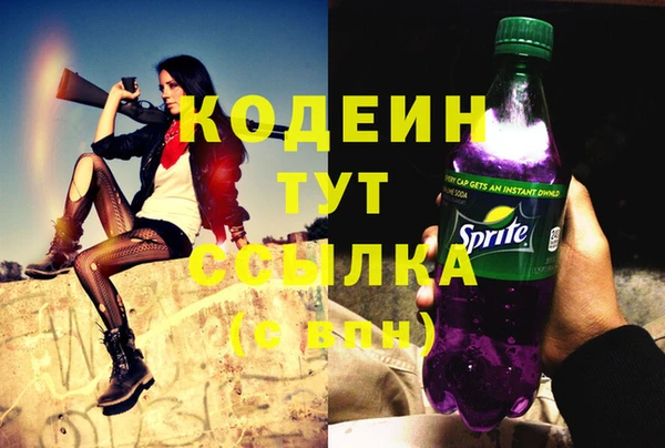 МДПВ Сосновый Бор